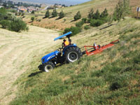 weed_abatement2